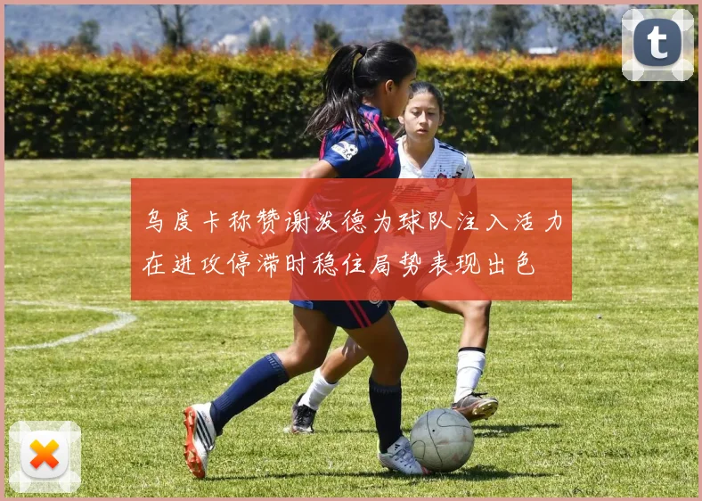 乌度卡称赞谢泼德为球队注入活力在进攻停滞时稳住局势表现出色