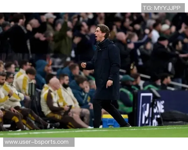 前主帅:热刺唯有进军欧冠才能满足球迷期待欧联杯成就微不足道 前主帅:热刺唯有进军欧冠才能满足球迷期待欧联杯成就微不足道